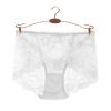 normal underwear