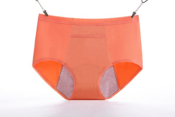 period panties