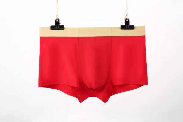 normal underwear