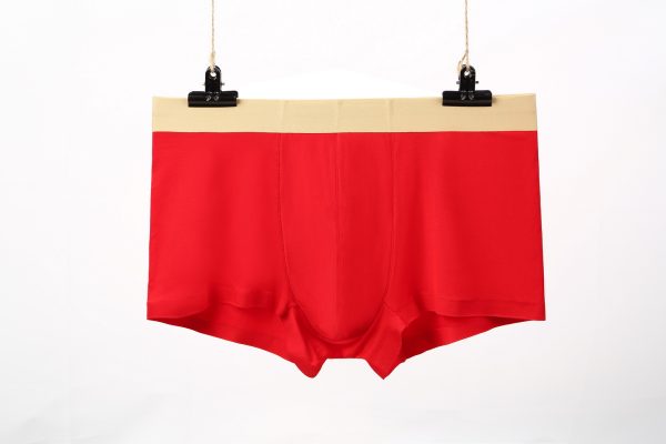 normal underwear