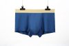 normal underwear