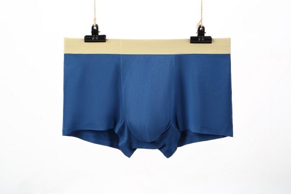 normal underwear