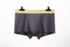 normal underwear