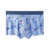 normal underwear