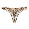 normal underwear